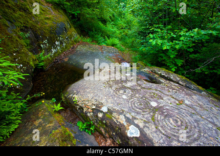 Carschenna, falaise, dessins, Suisse, Europe, canton des Grisons, Grisons, Domleschg, rock, falaise, petroglyph, rock, peinture Banque D'Images