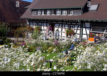 Bauernhaus und Bauerngarten à Sasbachwalden, Herbstanemonen,Anémone altaica, maison à colombages et jardin de fleurs, Windflower Banque D'Images