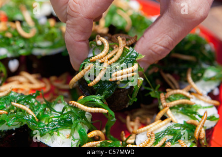 Les Pays-Bas, Utrecht, maison de vacances juste appelé Vakantiebeurs, vers de farine grillée sur des sushis. Banque D'Images