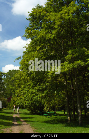 Une aire de pique-nique ombragée par de grands arbres le long de la Thames Path entre Marlow et Bourne End, Buckinghamshire, Royaume-Uni Banque D'Images