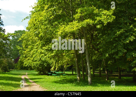 Une aire de pique-nique ombragée par de grands arbres le long de la Thames Path entre Marlow et Bourne End, Buckinghamshire, Royaume-Uni Banque D'Images