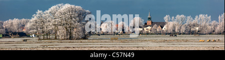 Les Pays-Bas, Nigtevecht, Vue Panoramique en hiver. La neige. Banque D'Images