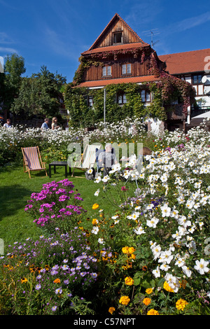 Bauernhaus und Bauerngarten à Sasbachwalden, agriculteur Maison et jardin fleuri Banque D'Images