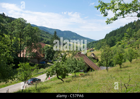 Les différentes fermes avec des granges à côté d'une route dans un paysage de montagne verte, dans Schwarzwald Baden-Wurttemberg, Allemagne Banque D'Images