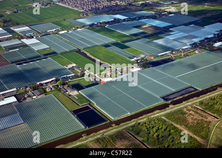 Les Pays-Bas, Pijnacker, serres. Westland. Vue aérienne. Banque D'Images