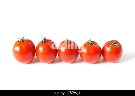 5 tomates rouges standing in a row on a white background Banque D'Images