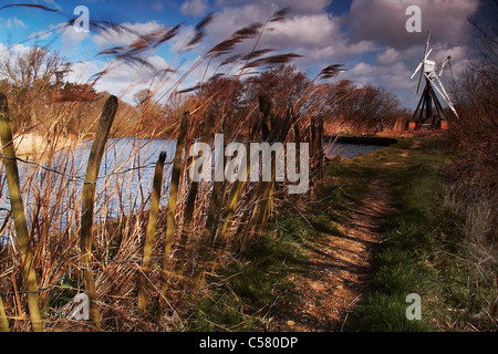 Photographie d'Clayrack à Mill Hill sur comment les Norfolk Broads Banque D'Images