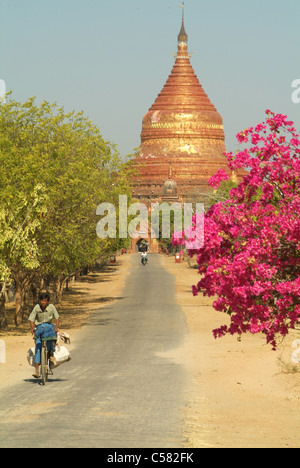 L'Asie, Birmanie, Myanmar, Bagan, pagode, Dhammayazika, religion Banque D'Images