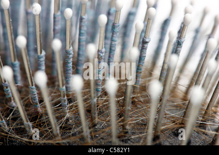 Sale, utilisé brosse à cheveux. Avec beaucoup de vieux poils et autres saletés. Banque D'Images