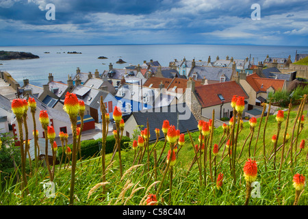 Findochty, Grande Bretagne, Ecosse, Europe, mer, village, des maisons, des maisons, des fleurs, des nuages Banque D'Images