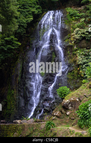 La célèbre cascade à Ribeira dos Caldeirões parc naturel, Achada, Nordeste, région de l'île de São Miguel, aux Açores. Banque D'Images