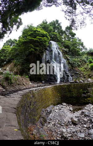 La célèbre cascade à Ribeira dos Caldeirões parc naturel, Achada, Nordeste, région de l'île de São Miguel, aux Açores. Banque D'Images