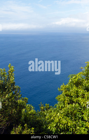 Vue depuis St Iria vue, l''île de São Miguel, aux Açores. Banque D'Images