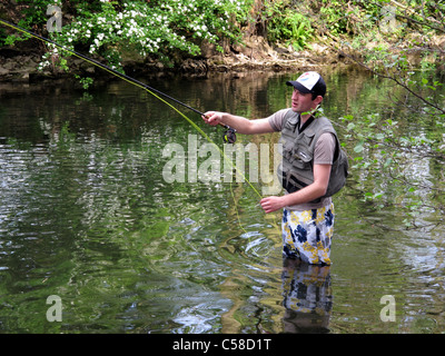 L'homme pêche de mouche sur la rivière Wye de Bakewell Derbyshire Peak District en Angleterre Banque D'Images