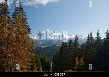 Dents du Midi, Morgins, Portes du Soleil, Suisse, Valais, Alpes, paysage, montagnes Banque D'Images