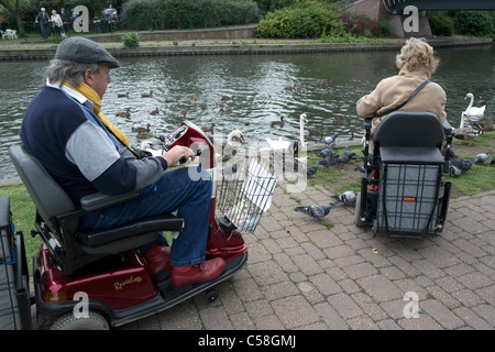 Deux personnes en fauteuil motorisé cygnes et canards alimentation Kennet and Avon Canal Bewbury Berkshire England UK Banque D'Images