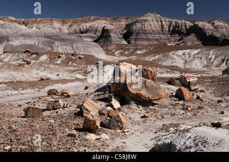 Blue Mesa Trail, Forêt Pétrifiée, National Park, Arizona, USA, United States, l'Amérique, des rochers, des montagnes Banque D'Images