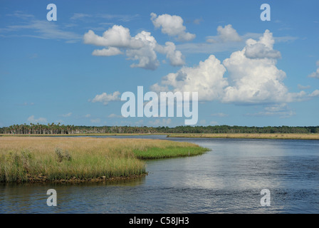 D'EAU, parc de Bayport, Pine Island, près de Spring Hill, Florida, USA, United States, l'Amérique, de l'eau, ciel Banque D'Images