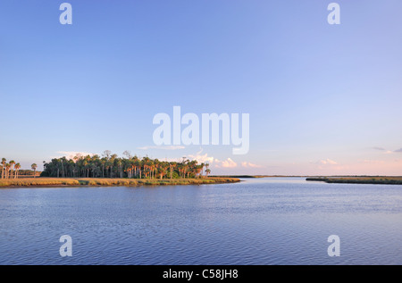 D'EAU, parc de Bayport, Pine Island, près de Spring Hill, Florida, USA, United States, Amérique du Nord, de la mer, de l'eau Banque D'Images