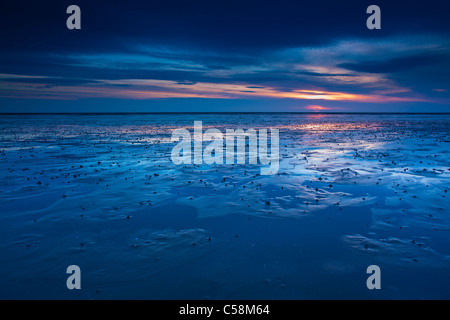 En Angleterre, Northumberland, Goswell Sands. Les tons de bleu de l'aube reflétée sur la plage étendue de la plage de sables bitumineux Goswell Banque D'Images