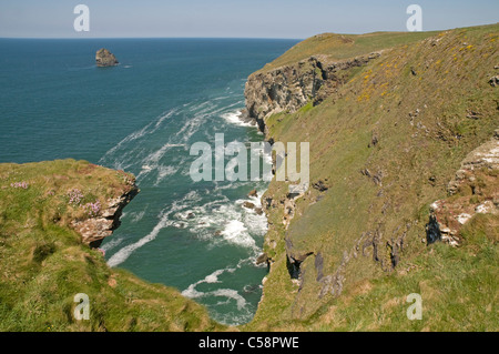 Sur la côte atlantique du Cornwall, à North en direction de Dennis Point et Gull Rock, près de Trebarwith Strand Banque D'Images