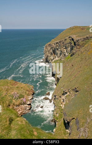 Sur la côte atlantique du Cornwall, à North en direction de Dennis Point, près de Trebarwith Strand Banque D'Images