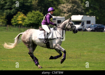 Arley Hall Horse Trials 2009 Banque D'Images