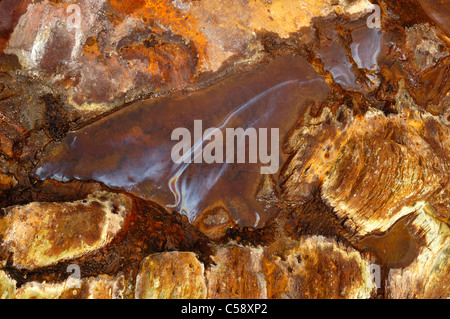 L'eau ferrugineuse dans les étangs naturels. Sil, Lugo, Galice, Espagne. Banque D'Images