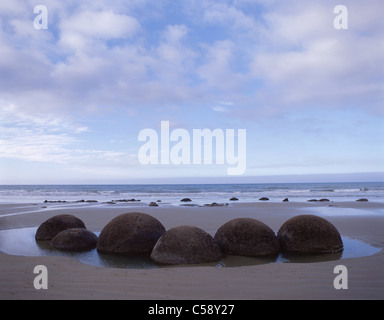 Les Moeraki Boulders sur Koekohe Plage, Moeraki, North Otago, Région de l'Otago, île du Sud, Nouvelle-Zélande Banque D'Images