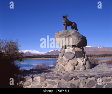 La NOUVELLE ZELANDE Collie Sheepdog statue, Lake Tekapo, District de Mackenzie, région de Canterbury, île du Sud, Nouvelle-Zélande Banque D'Images