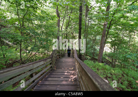 Parc géologique Devils Millhopper Gainesville Floride un visiteur traverse le gouffre géant via une passerelle en bois Banque D'Images