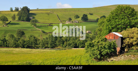 La lumière du matin sur une anomalie dans une grange Swaledale, North Yorkshire, Angleterre Banque D'Images