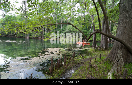 Les kayakistes bénéficiant d'une sortie à Manatee Springs State Park, Floride Banque D'Images