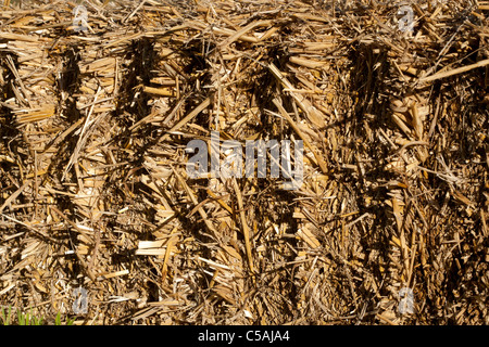 Le ballot de paille , close up of side view Banque D'Images