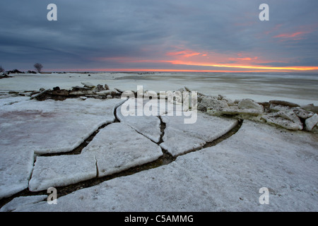 Des signes de l'arrivée du printemps - les fissures dans la fonte de la glace de mer. Côte de la mer Baltique, puise, Parc Naturel de Matsalu, Estonie Banque D'Images