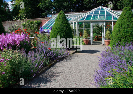 Frontières herbacées colorées et les émissions dans le jardin clos au Jardins de Threave, Castle Douglas, Dumfries et Galloway, en Écosse. Banque D'Images