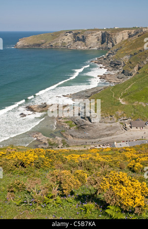 Près de Trebarwith Strand Tintagel Cornwall sur la côte de l'Atlantique, un très populaire plage à marée basse à moyenne Banque D'Images