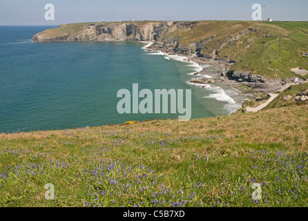 Près de Trebarwith Strand Tintagel Cornwall sur la côte de l'Atlantique, un très populaire plage à marée basse à moyenne Banque D'Images