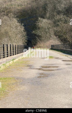 Dale Monsal, Derbyshire Peak District, Banque D'Images