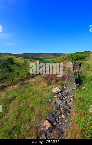 Royd Edge Clough Meltham ci-dessus près de Holmfirth, West Yorkshire, Peak District National Park, Angleterre, Royaume-Uni. Banque D'Images