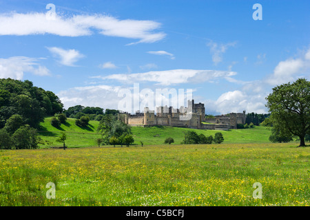 Château d'Alnwick (utilisé comme emplacement pour l'école dans les films de Harry Potter), Alnwick, Northumberland, Angleterre du Nord-Est, Royaume-Uni Banque D'Images