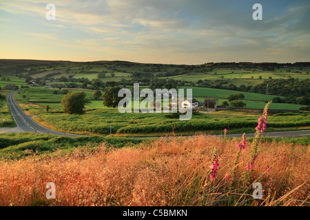 La vue de Baildon Moor, près de Bradford dans le Yorkshire de l'Ouest, vers Hawksworth Banque D'Images