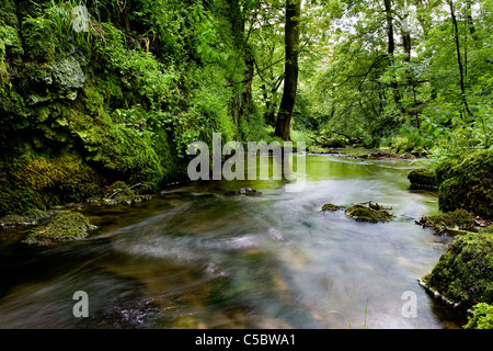 Gordale, beck ci-dessous Janet's Foss, Malhamdale, Yorkshire Dales Banque D'Images