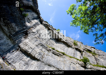 À la recherche jusqu'à l'amphithéâtre de falaises en forme de Malham Cove, Malhamdale, Yorkshire Dales Banque D'Images