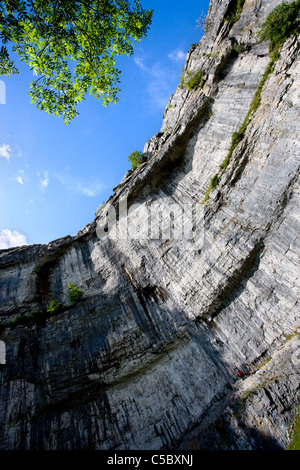 À la recherche jusqu'à l'amphithéâtre de falaises en forme de Malham Cove, Malhamdale, Yorkshire Dales Banque D'Images