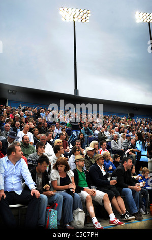 Regarder la foule de cricket au sol dans le comté de Probiz Sussex Hove Banque D'Images