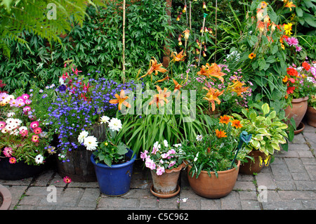 Plantes en pots et conteneurs sur un patio Banque D'Images