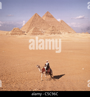 Chamelier Fadlallah devant les pyramides de Gizeh, Egypte, du plateau, de l'Afrique du Nord Banque D'Images