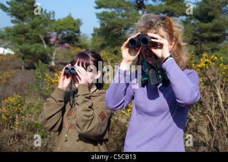 Femme et fille l'observation des oiseaux ; Cornwall Banque D'Images