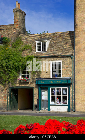 La Boutique Laine Ely Banque D'Images